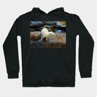 River Queen 2 Hoodie